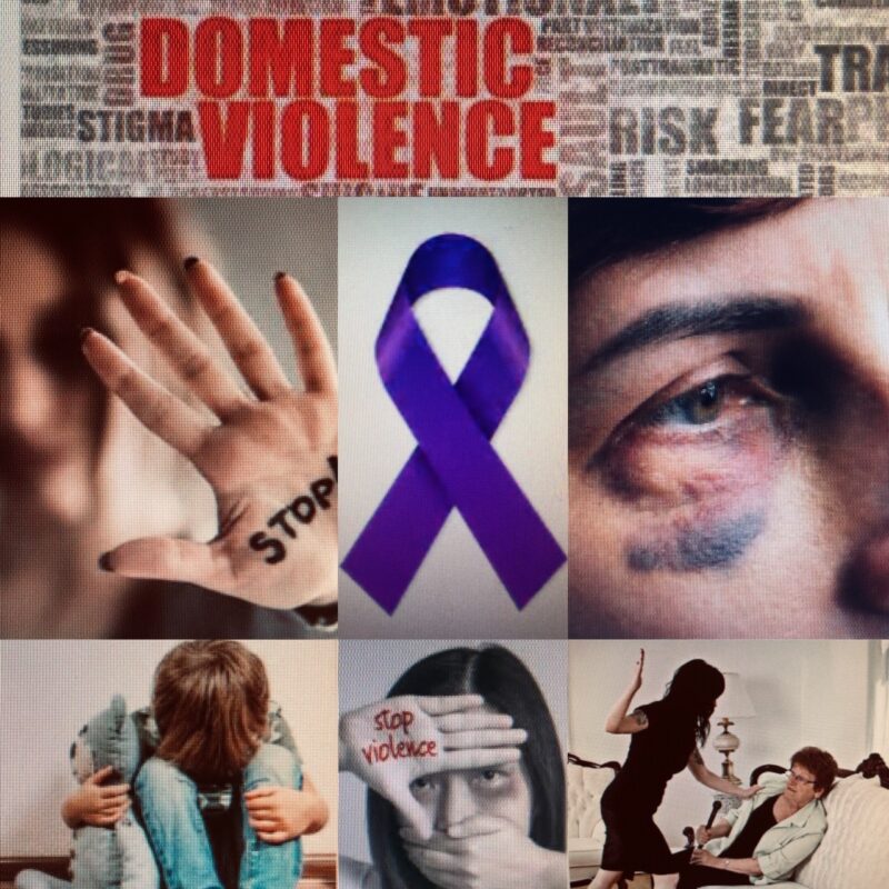 VAWA / Domestic Abuse De Luna Law Offices